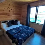 влаида *