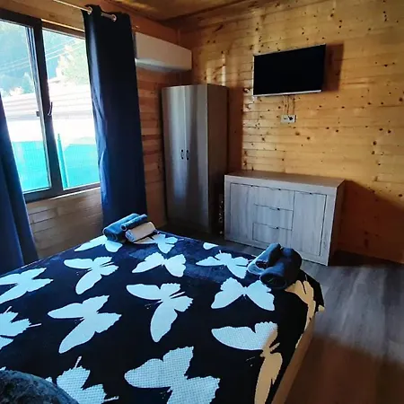 влаида Sapareva Bania